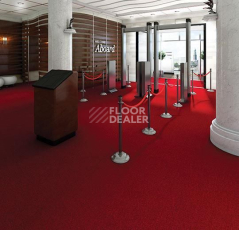 Forbo Coral Marine FR 4223 Hong Kong Red фото 2 | FLOORDEALER